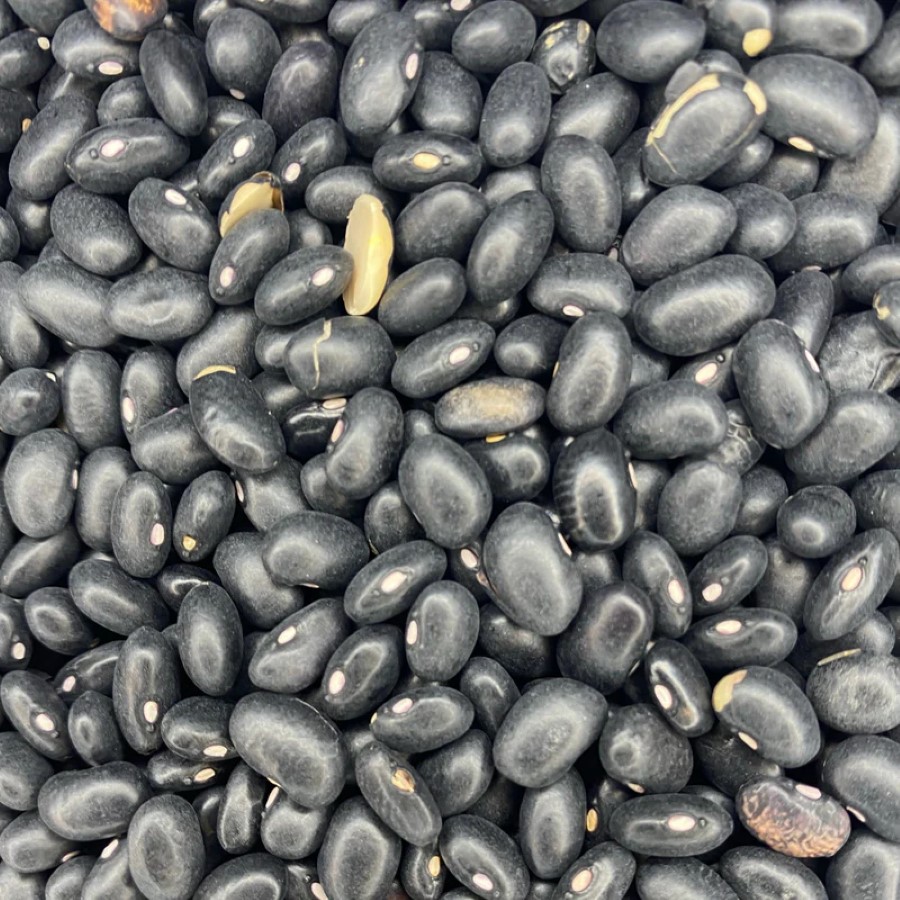 black bean-3